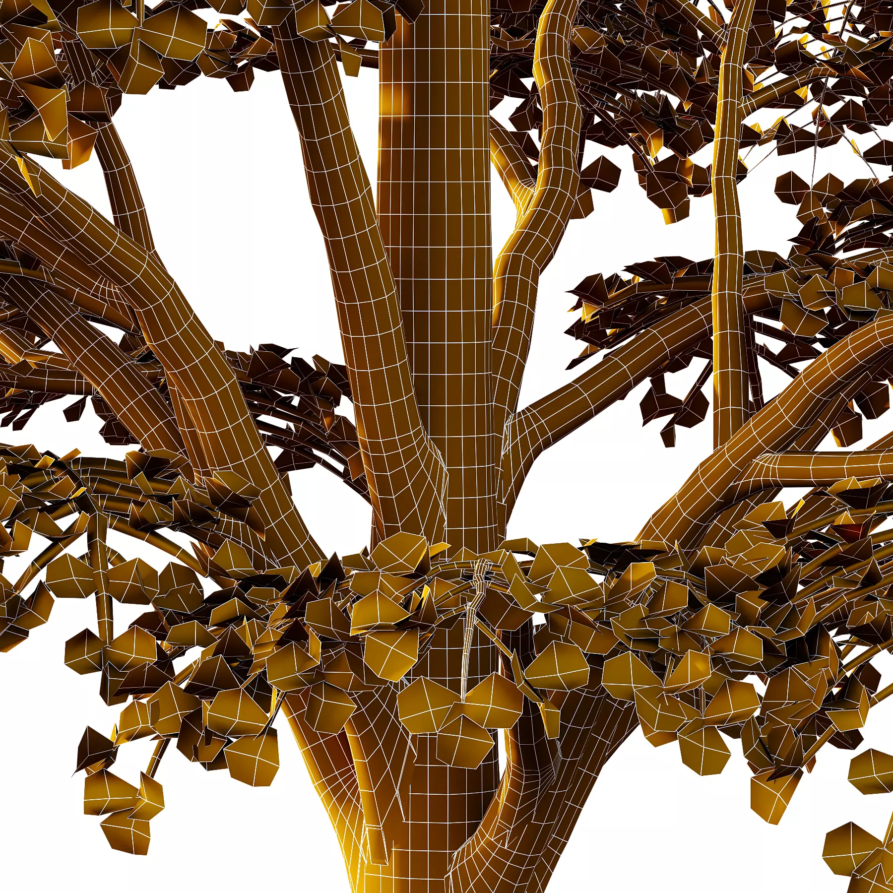 fagus sylvatica tree 13 3D model_5