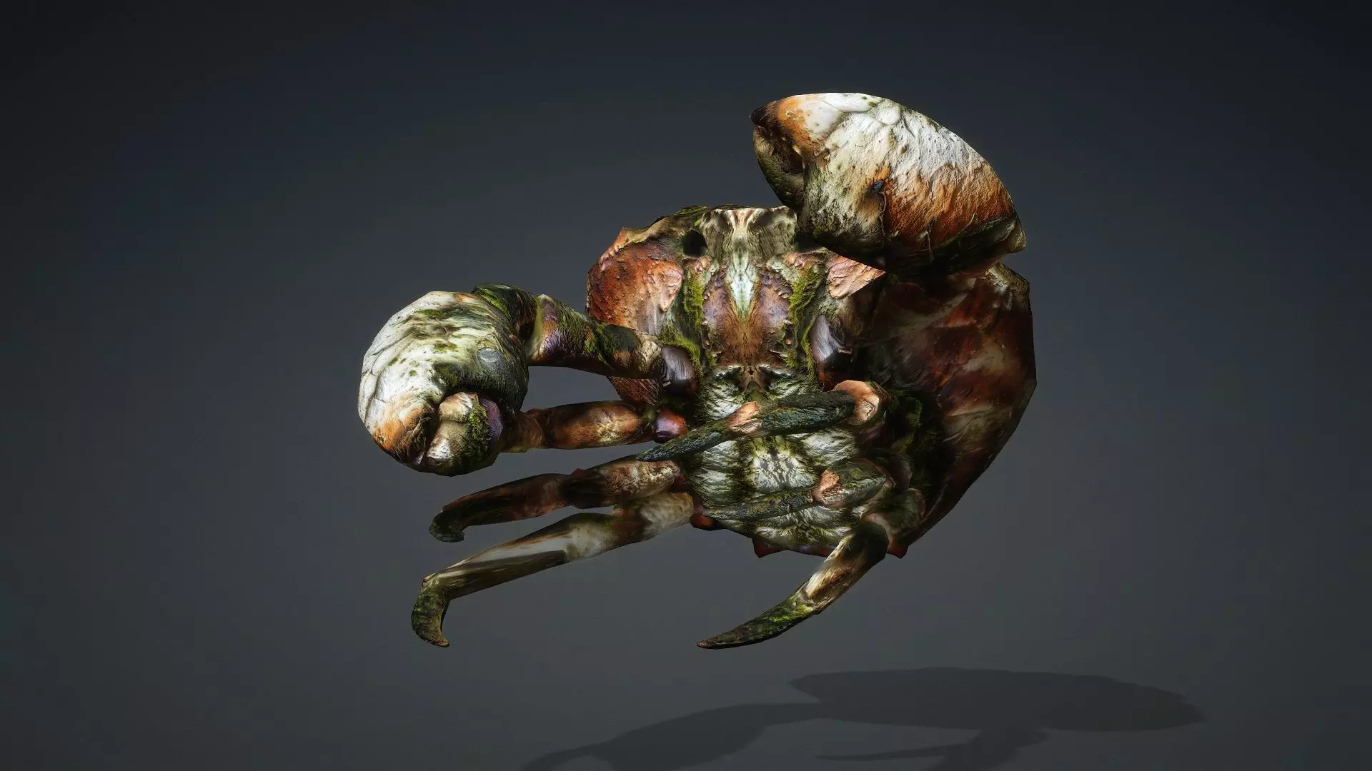 Crab Monster-V1a 3D model_13