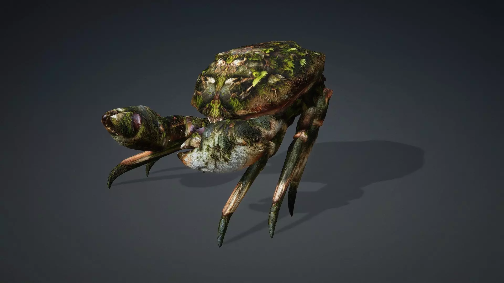 Crab Monster-V1a 3D model_5