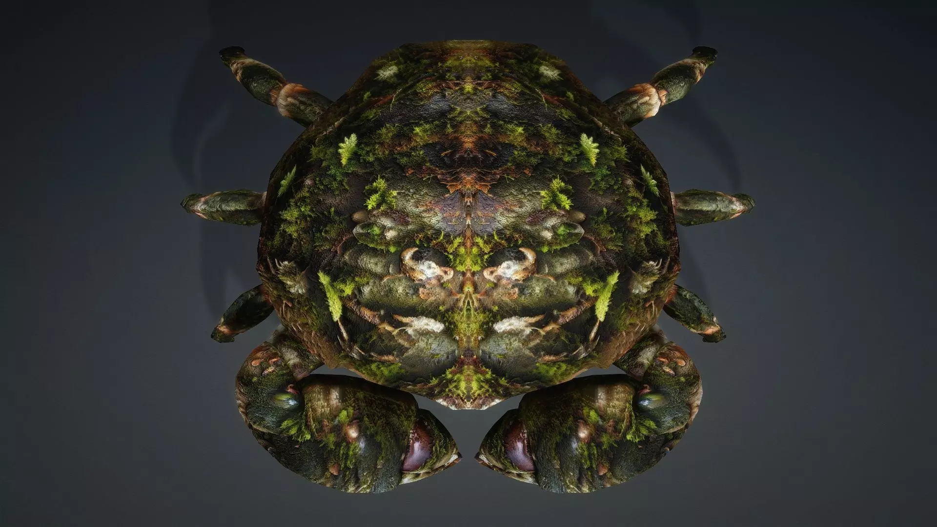 Crab Monster-V1a 3D model_10