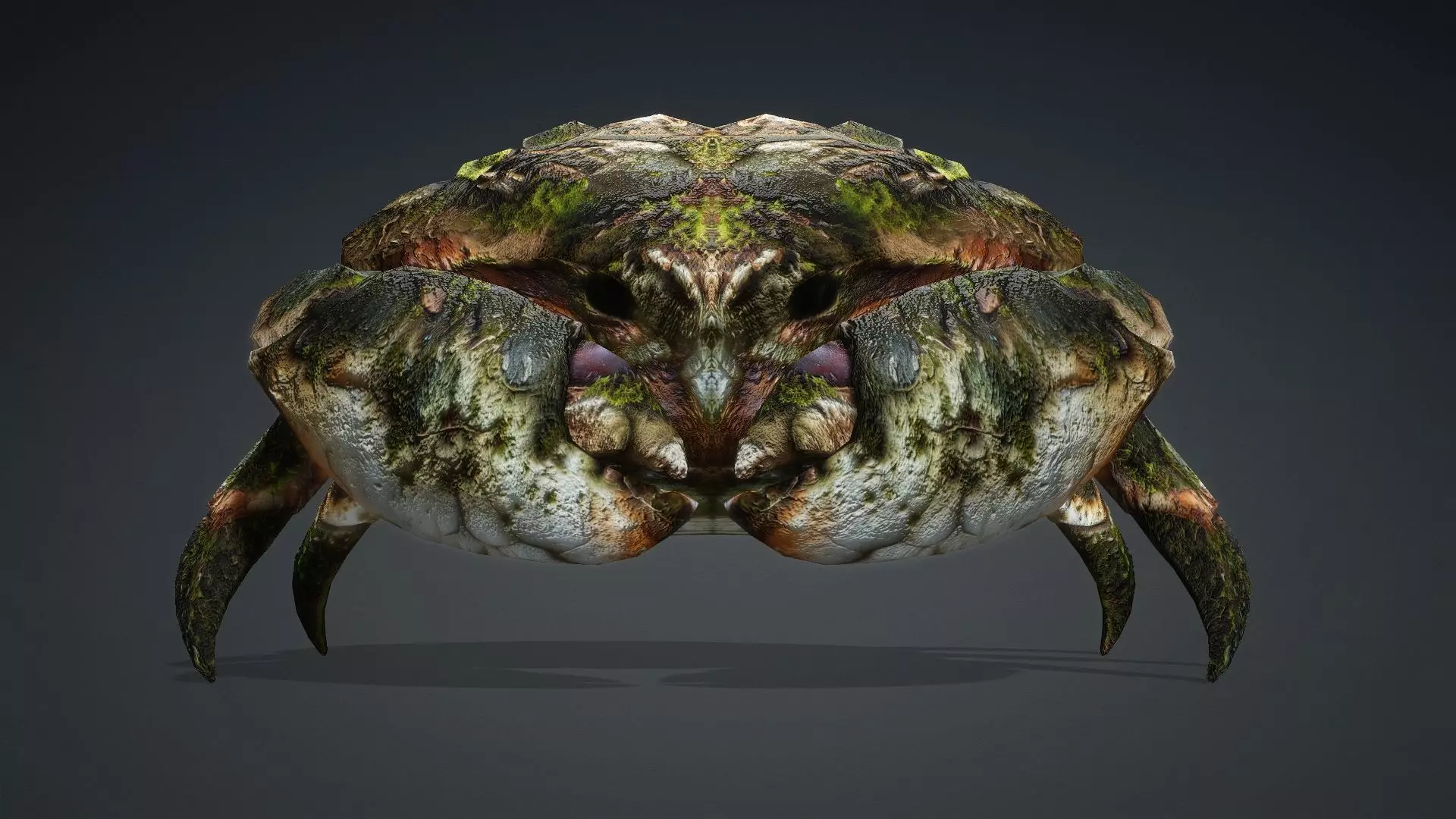 Crab Monster-V1a 3D model_7