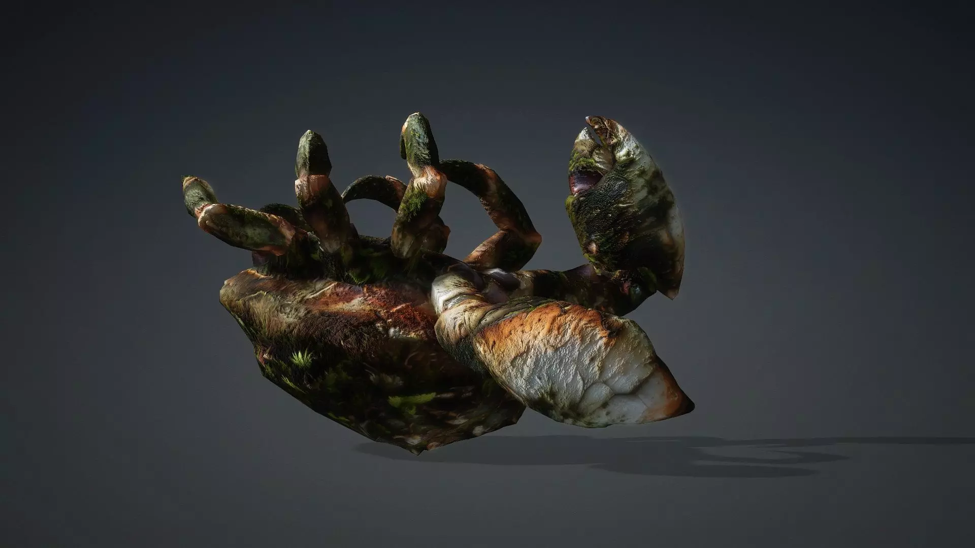 Crab Monster-V1a 3D model_4