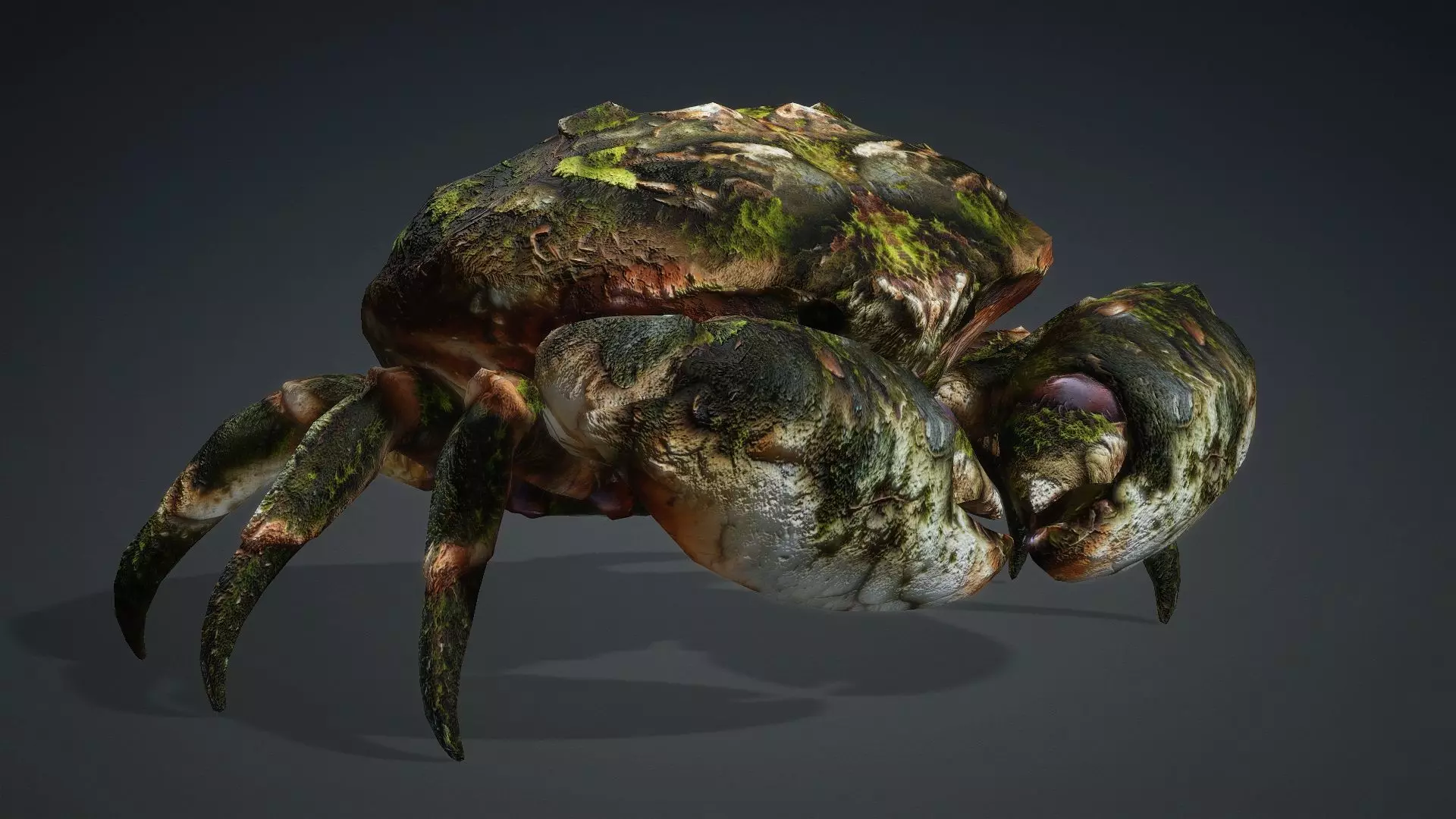Crab Monster-V1a 3D model_8