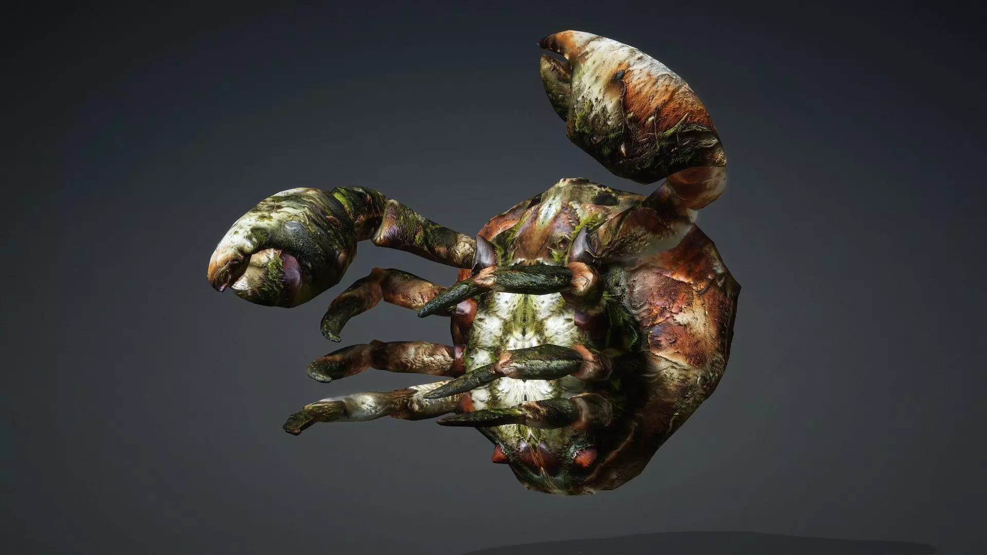 Crab Monster-V1a 3D model_6