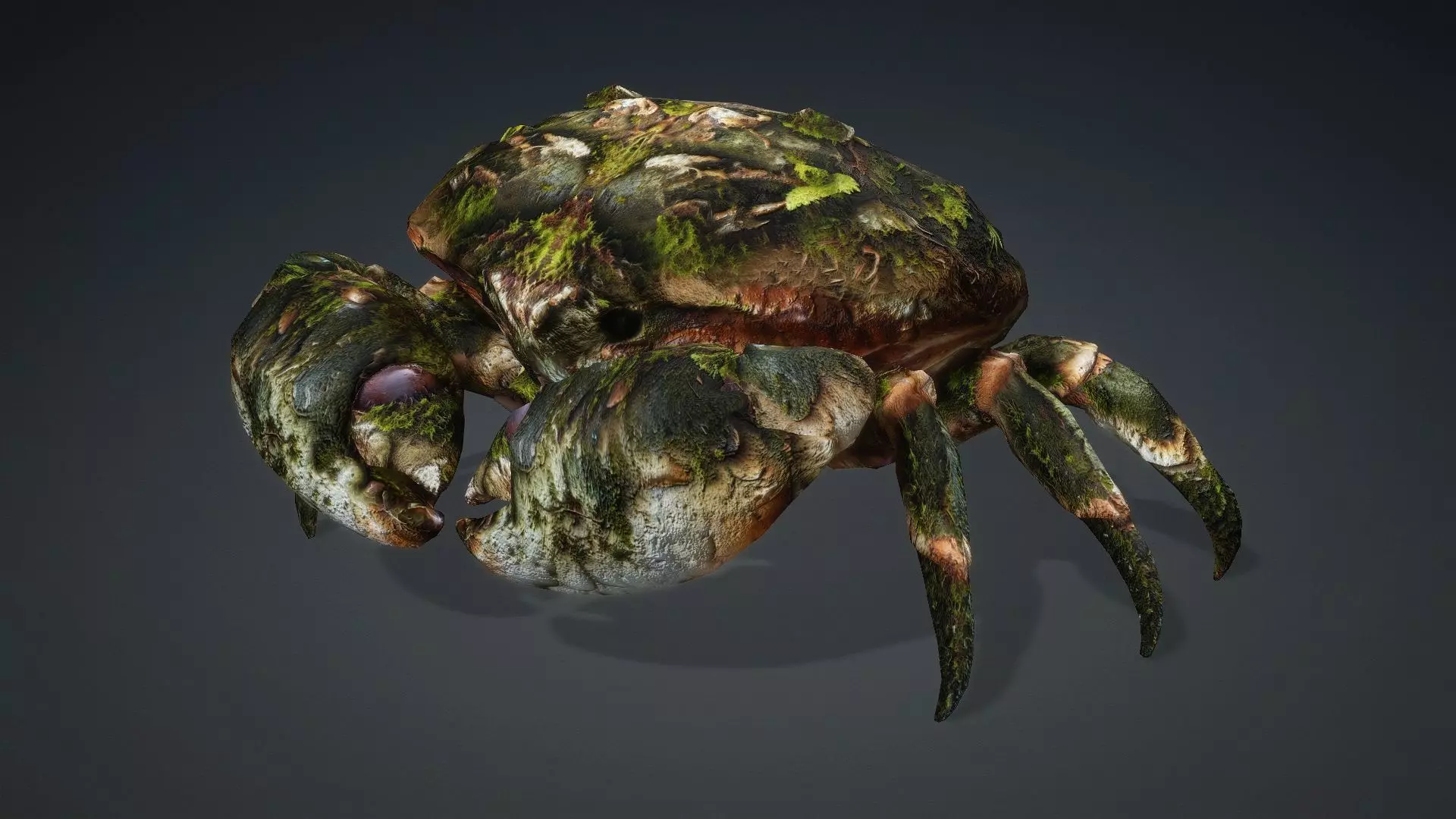 Crab Monster-V1a 3D model_3