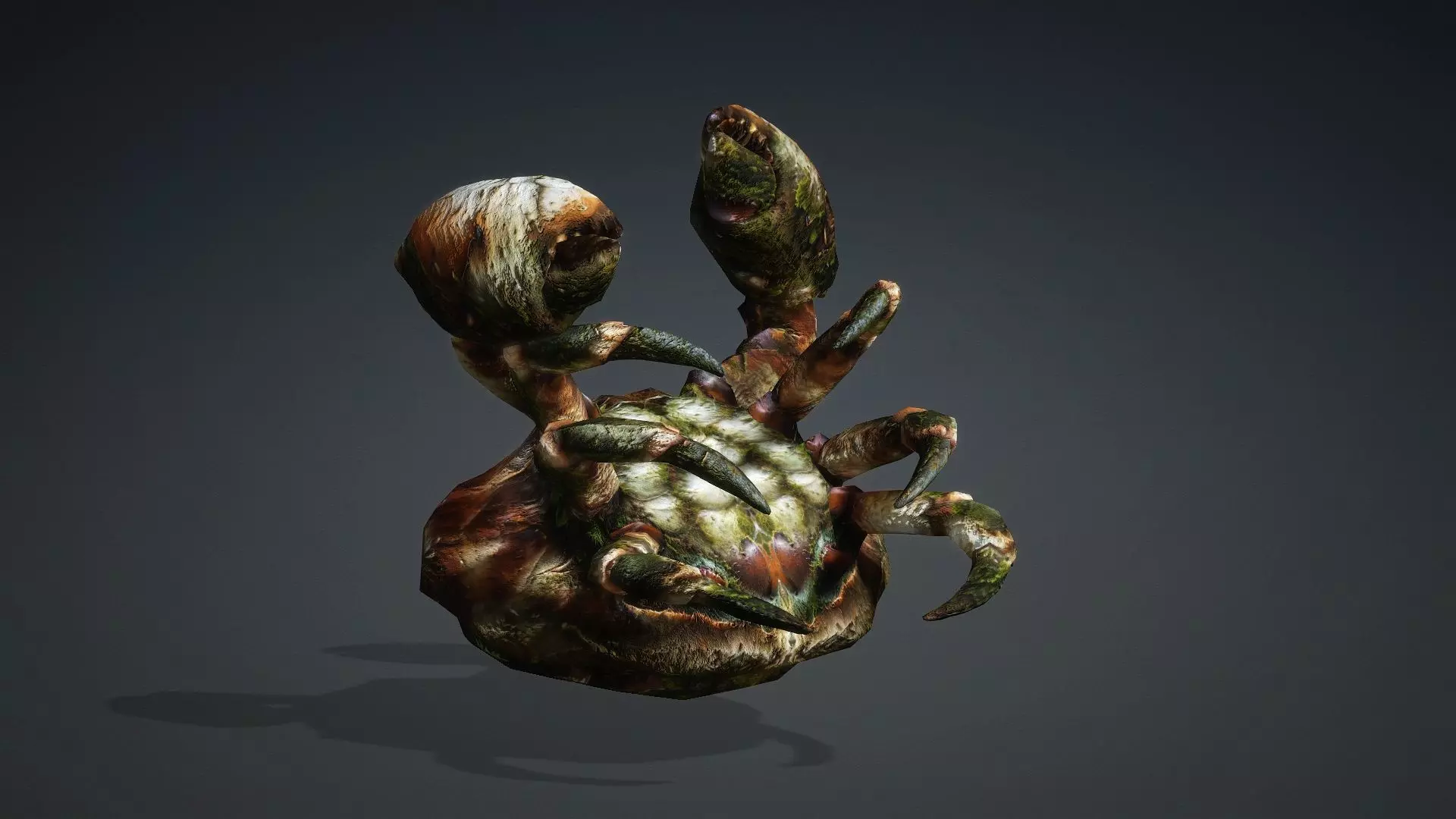 Crab Monster-V1a 3D model_14