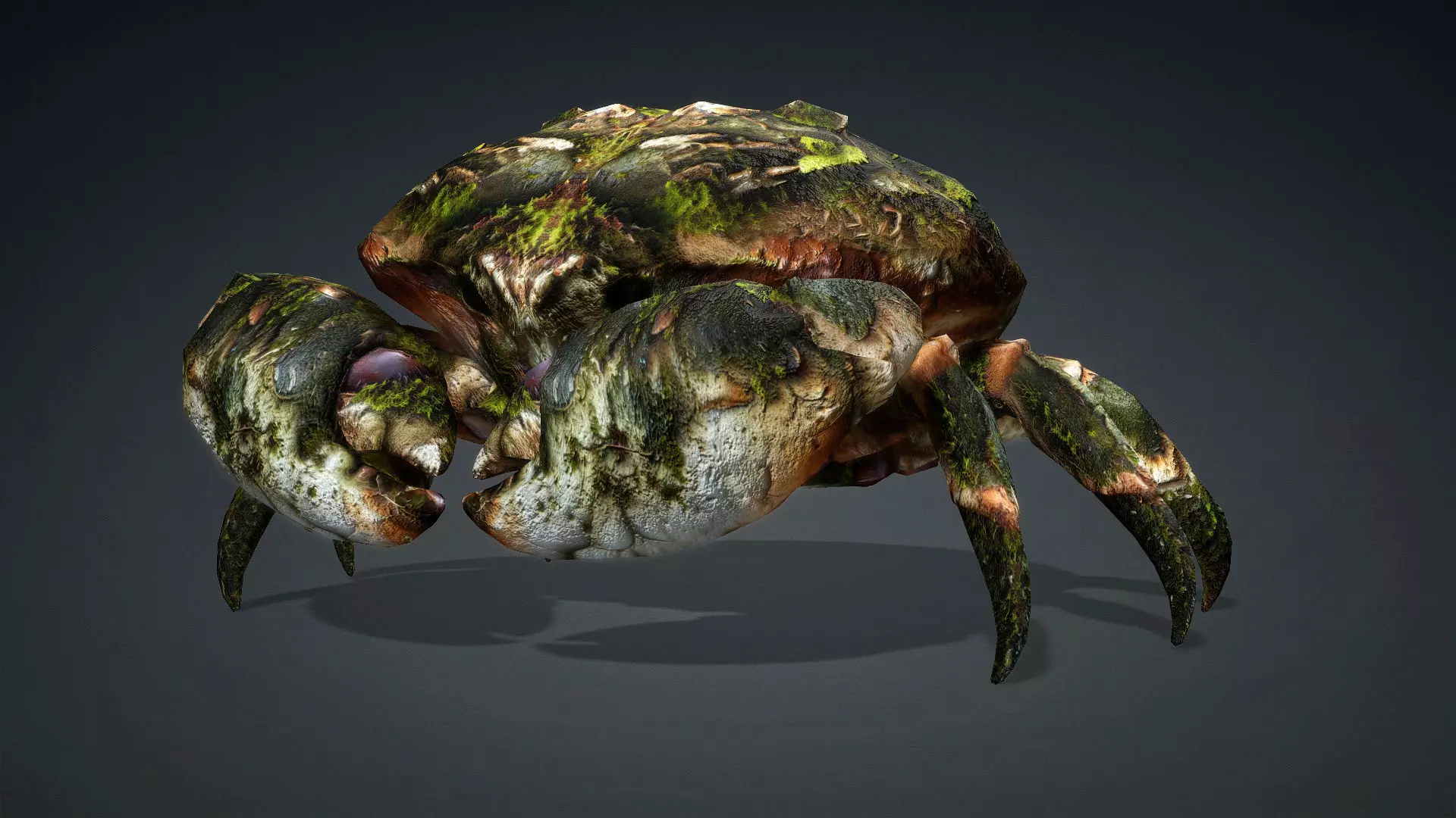 Crab Monster-V1a 3D model_2