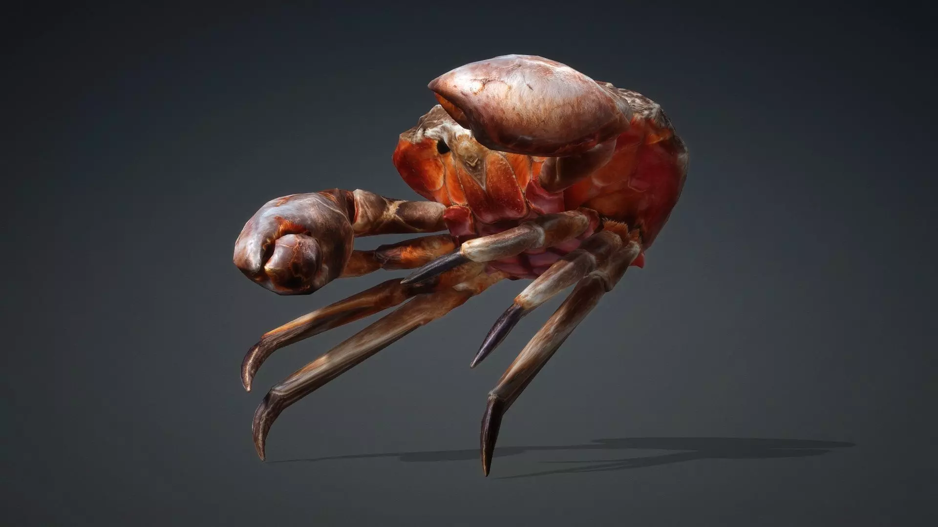 Crab Monster-V1b 3D model_4