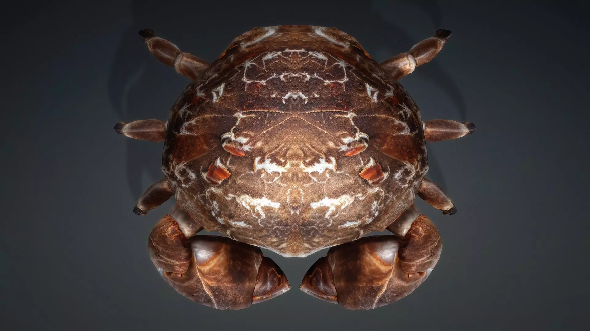 Crab Monster-V1b 3D model_10