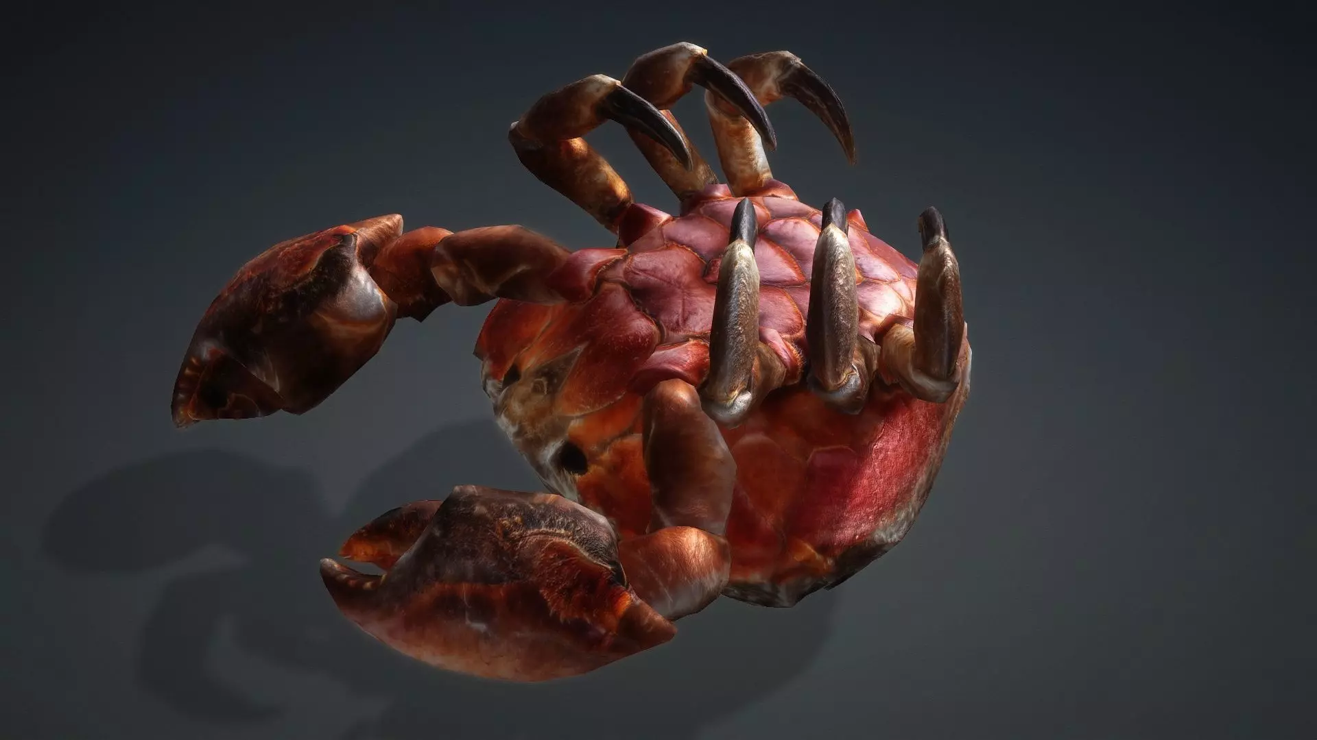 Crab Monster-V1b 3D model_6