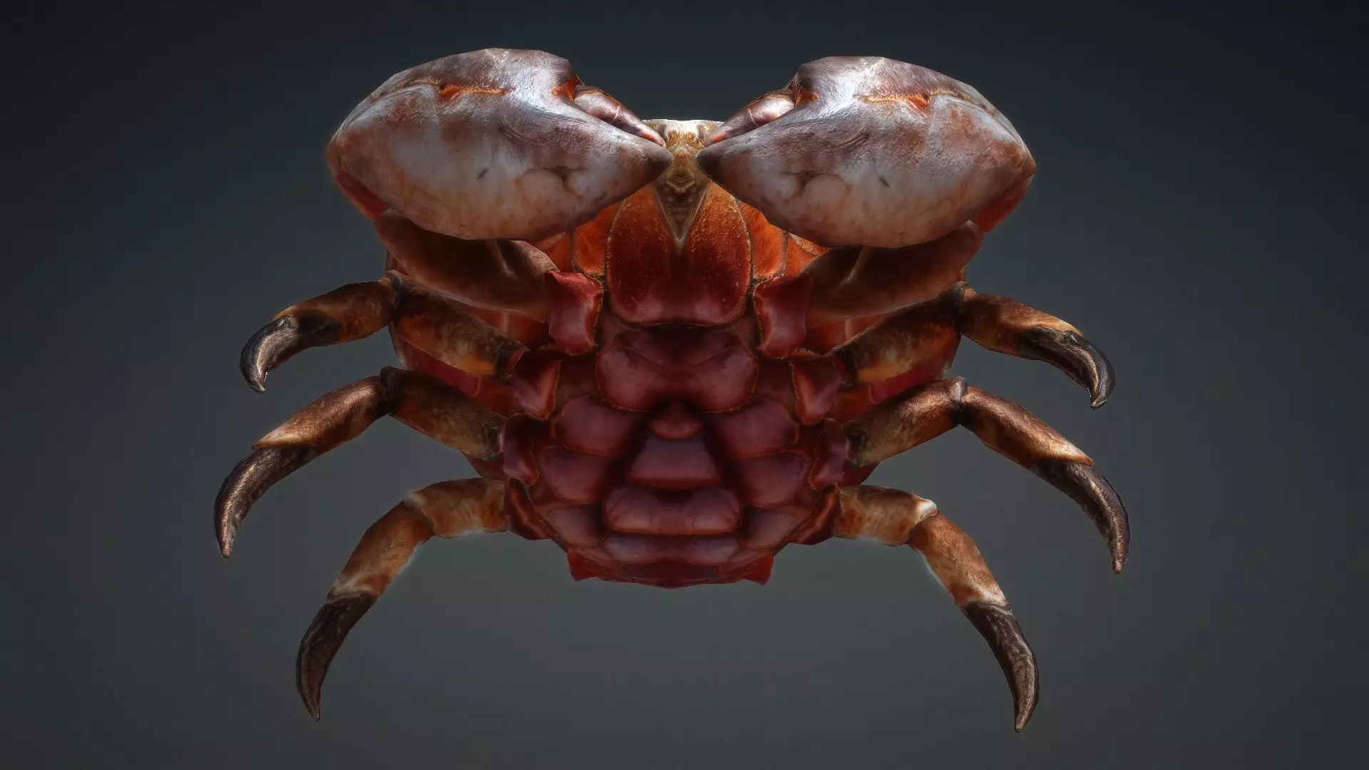 Crab Monster-V1b 3D model_14