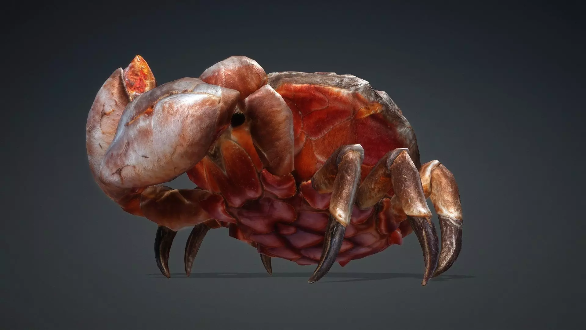 Crab Monster-V1b 3D model_13