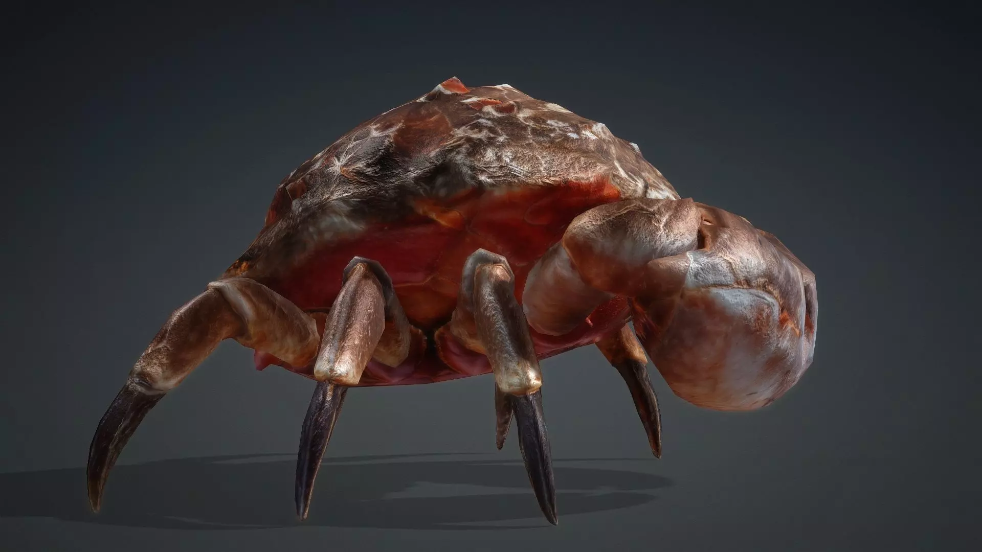 Crab Monster-V1b 3D model_8