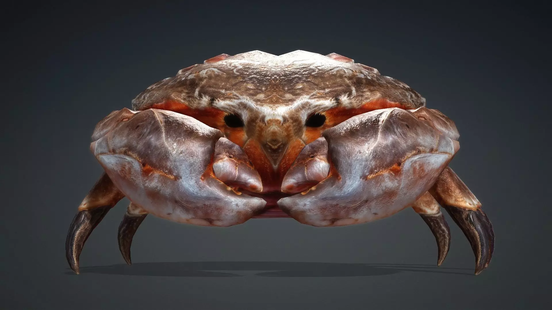 Crab Monster-V1b 3D model_7