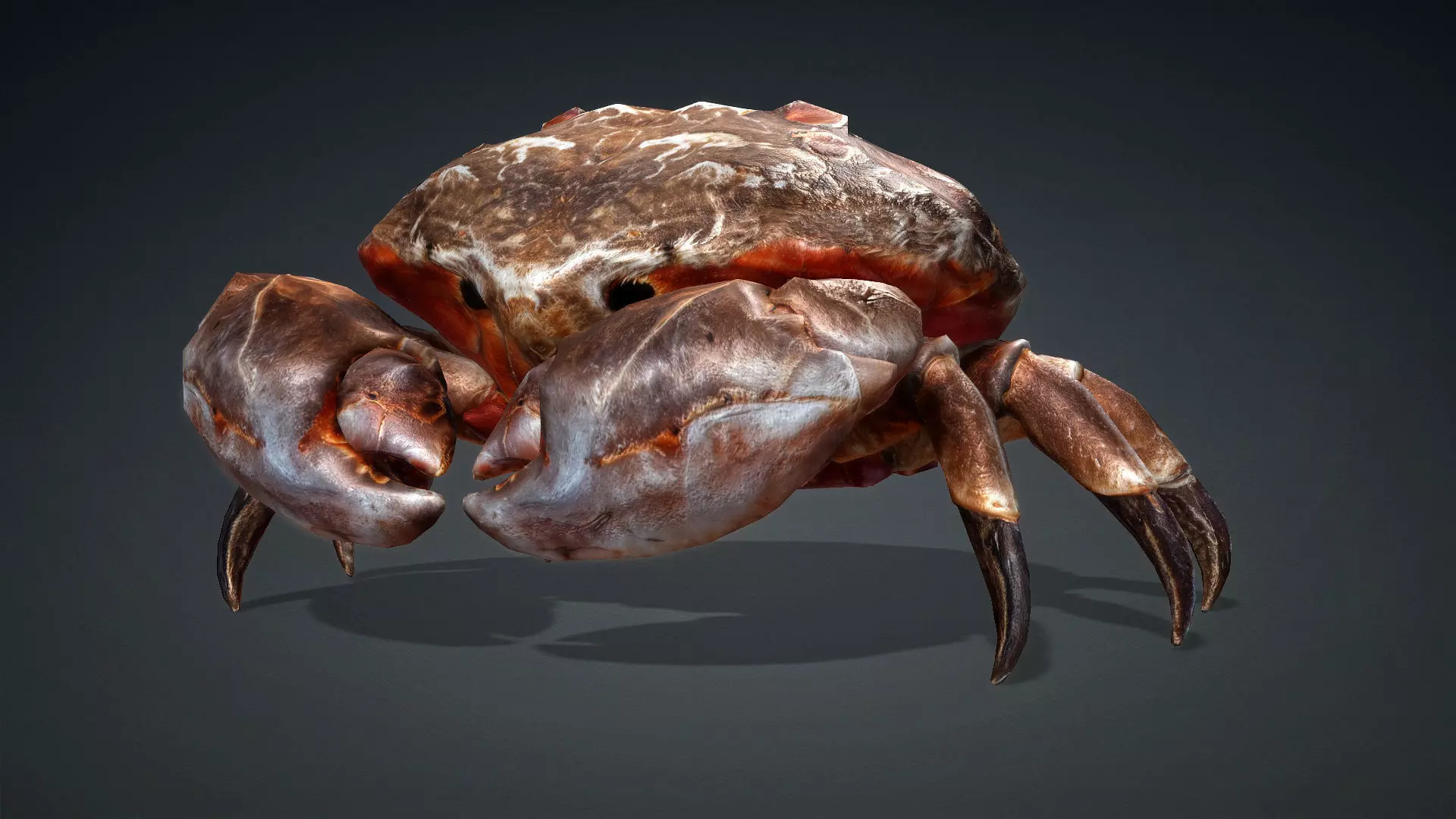 Crab Monster-V1b 3D model_2