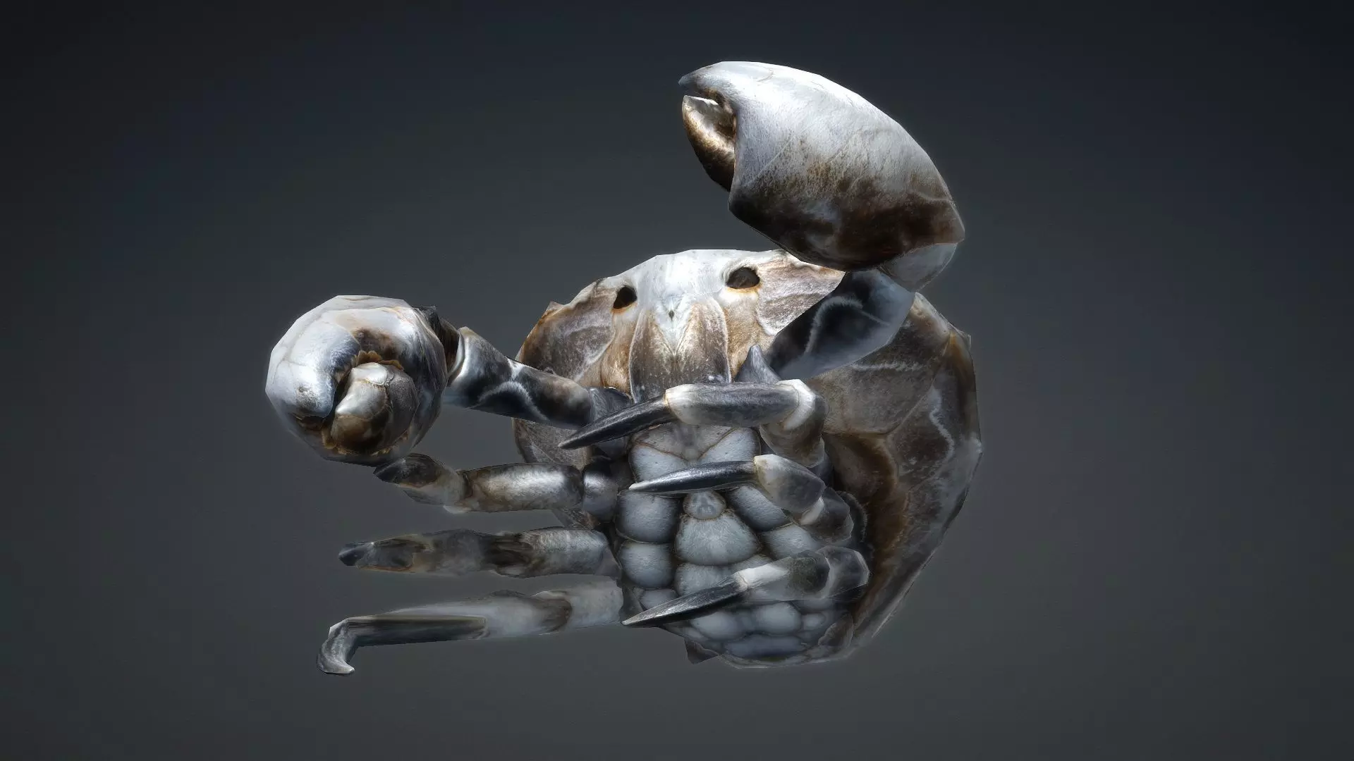 Crab Monster-V1c 3D model_4