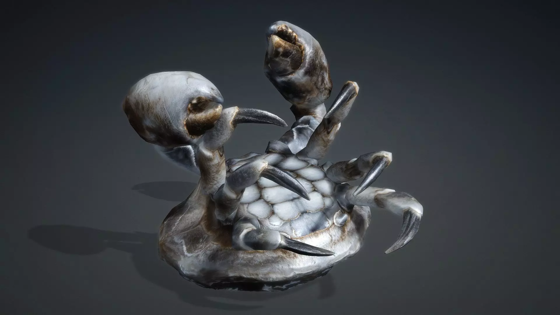 Crab Monster-V1c 3D model_5