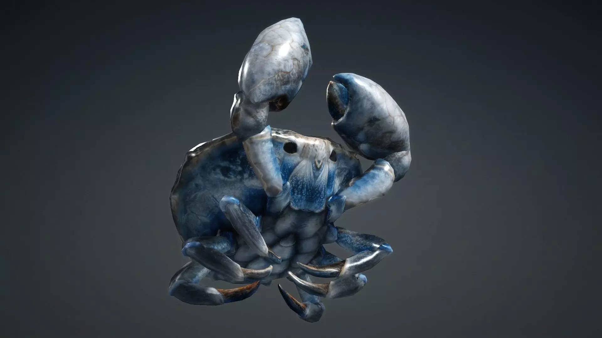 Crab Monster-V1e 3D model_14