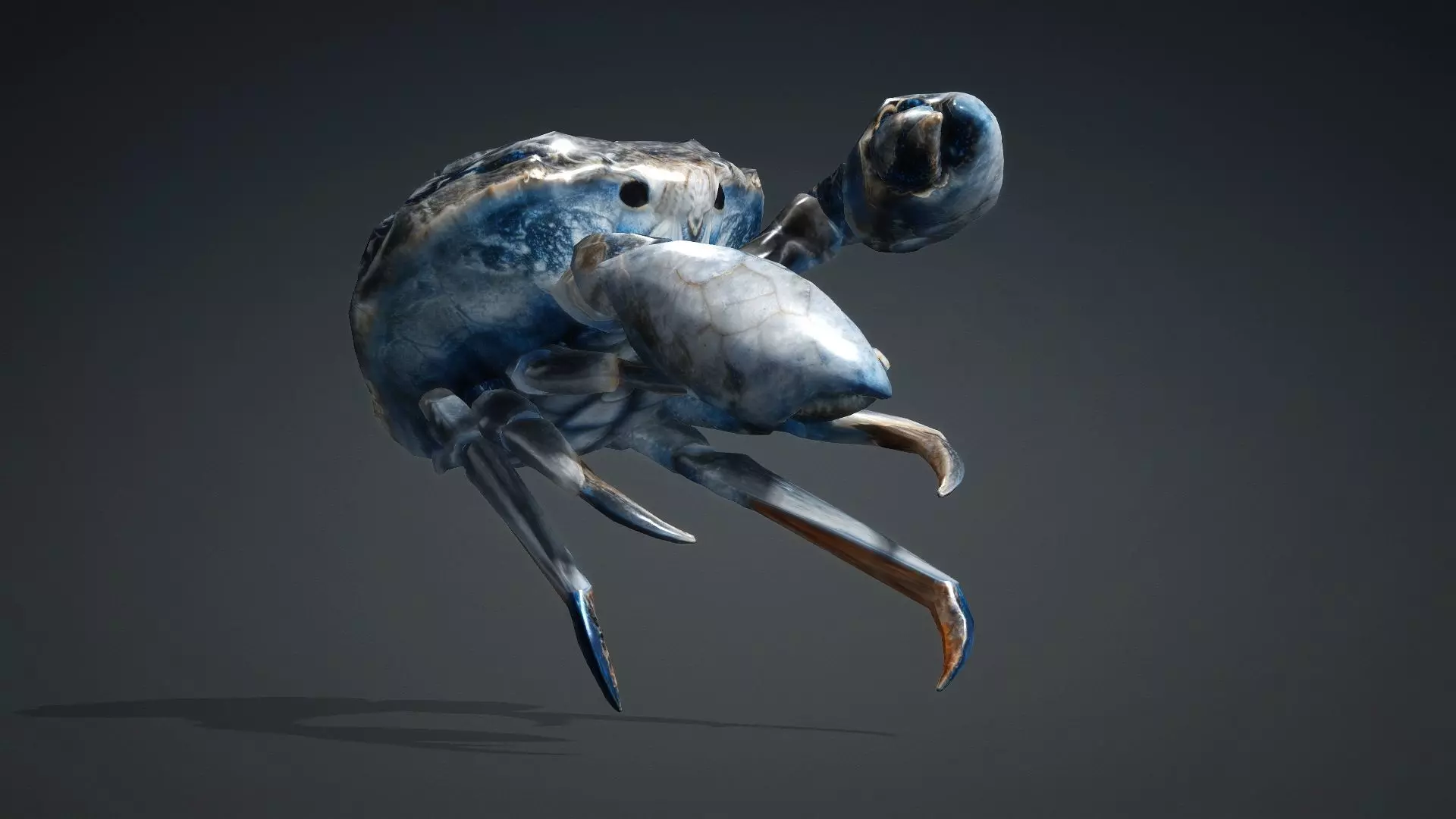 Crab Monster-V1e 3D model_5