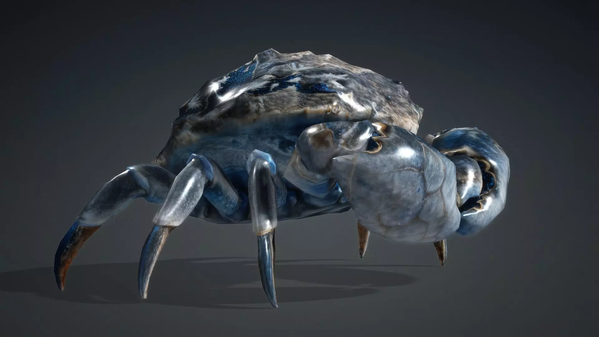 Crab Monster-V1e 3D model_8