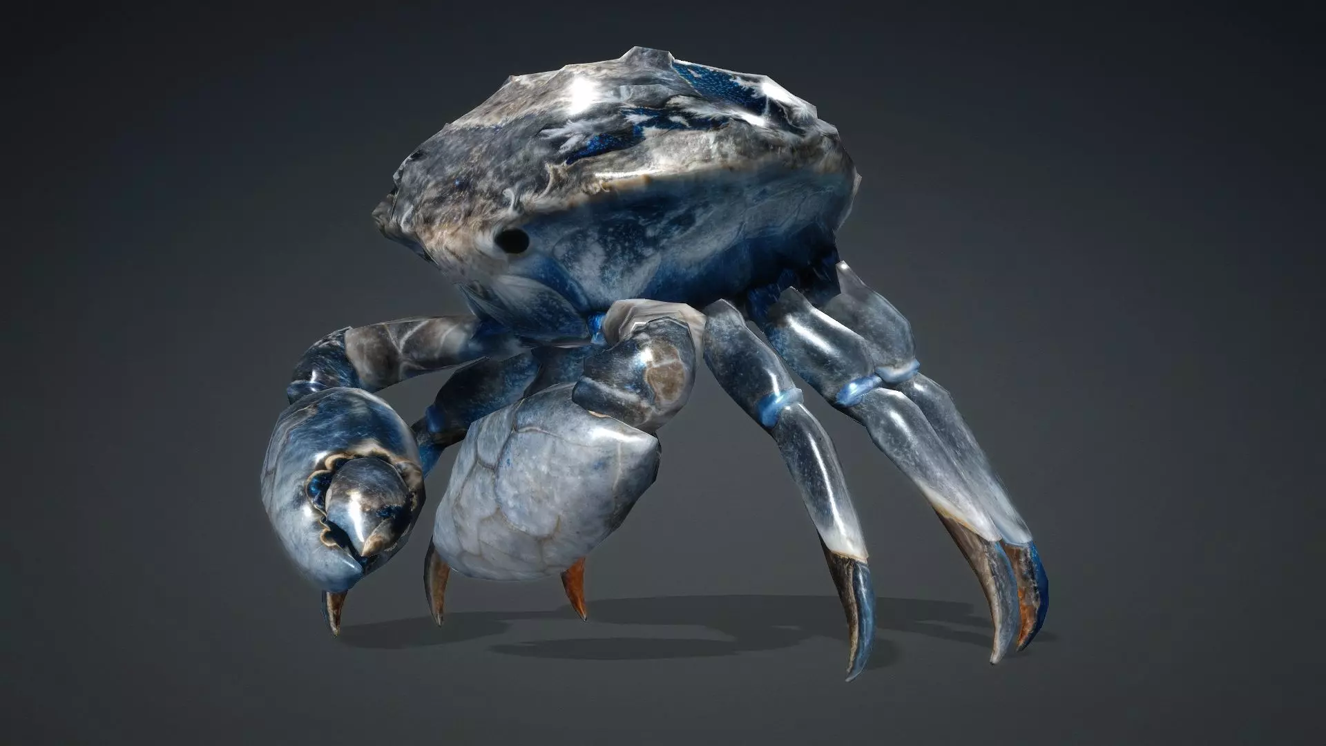 Crab Monster-V1e 3D model_12