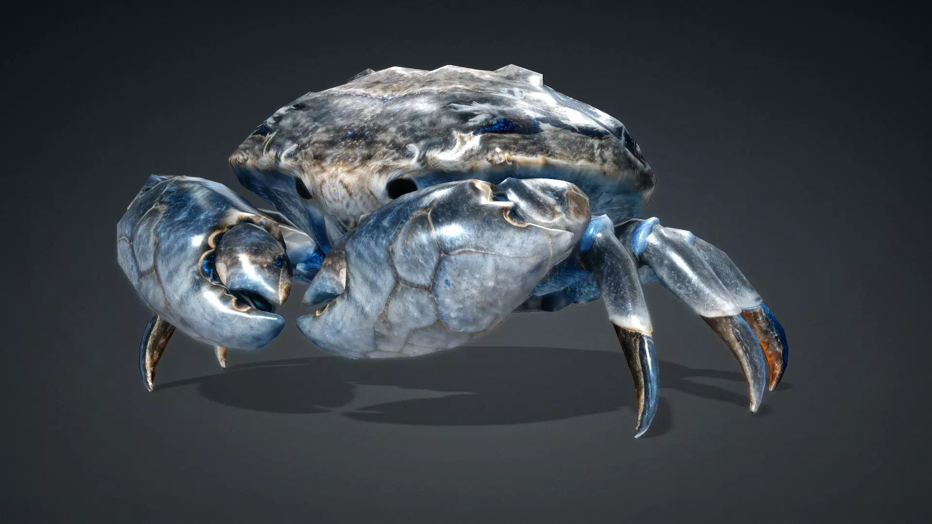 Crab Monster-V1e 3D model_2
