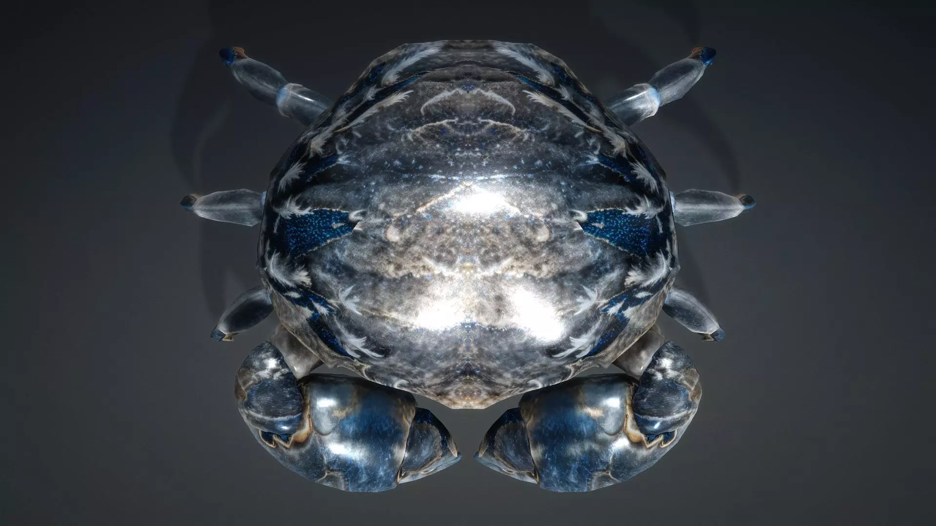 Crab Monster-V1e 3D model_10