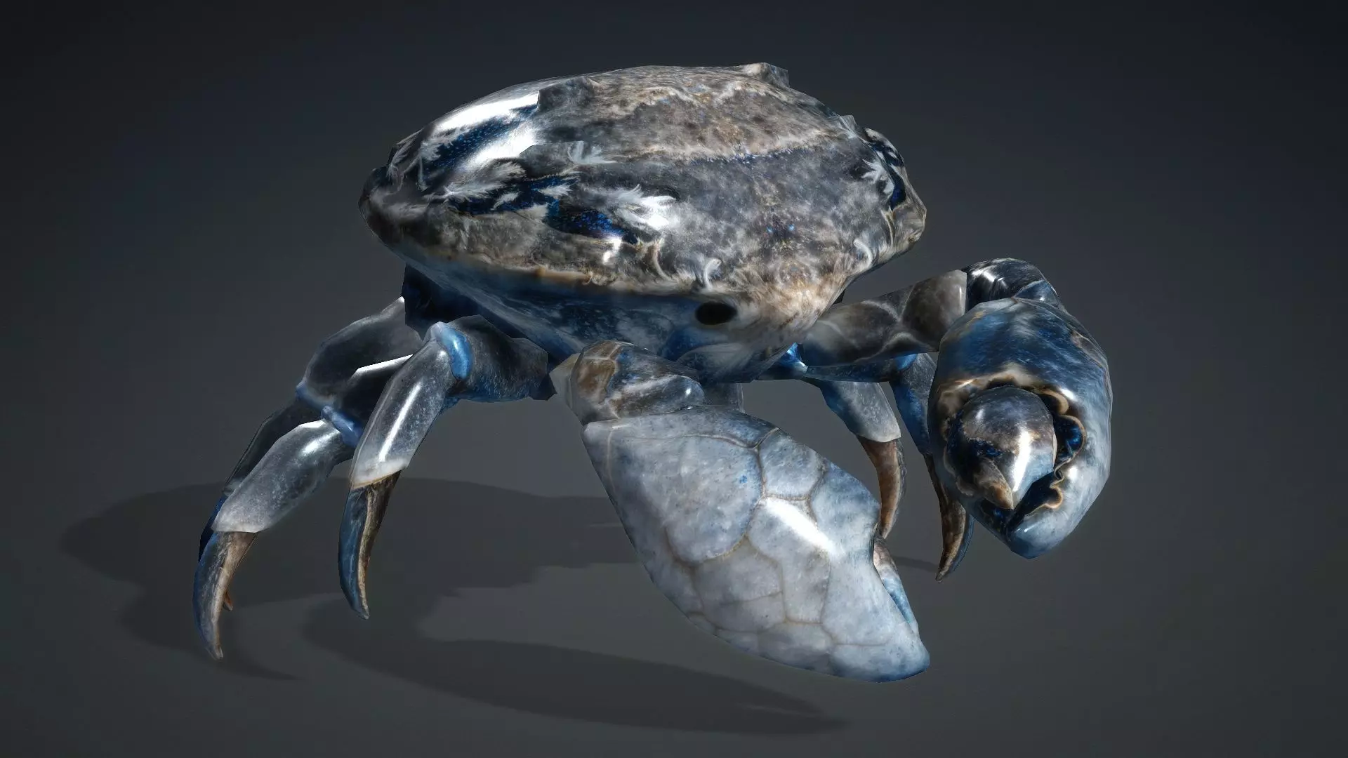Crab Monster-V1e 3D model_4