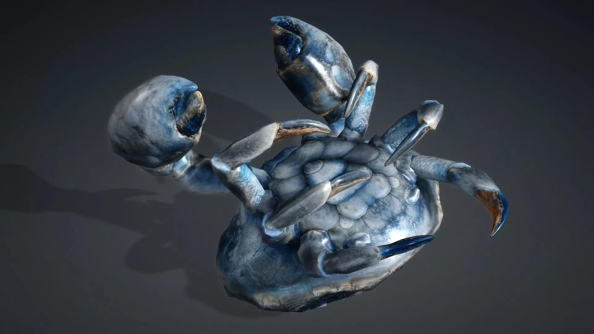 Crab Monster-V1e 3D model_6