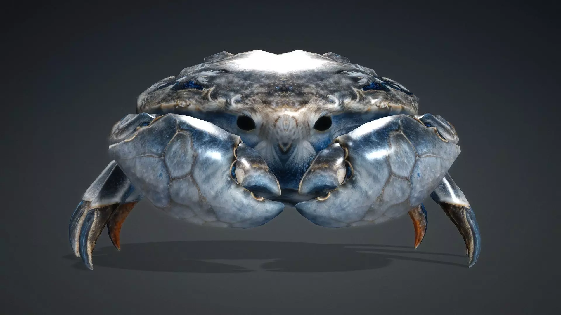 Crab Monster-V1e 3D model_7