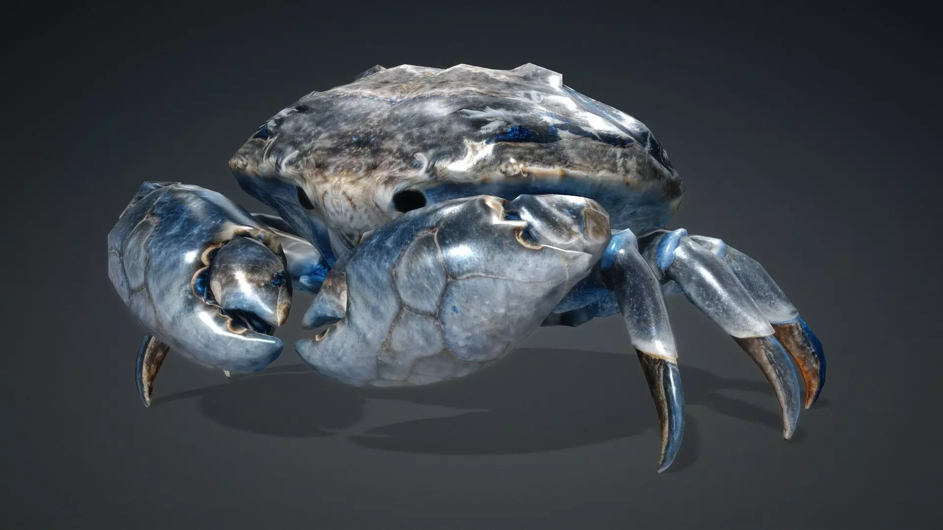 Crab Monster-V1e 3D model_3