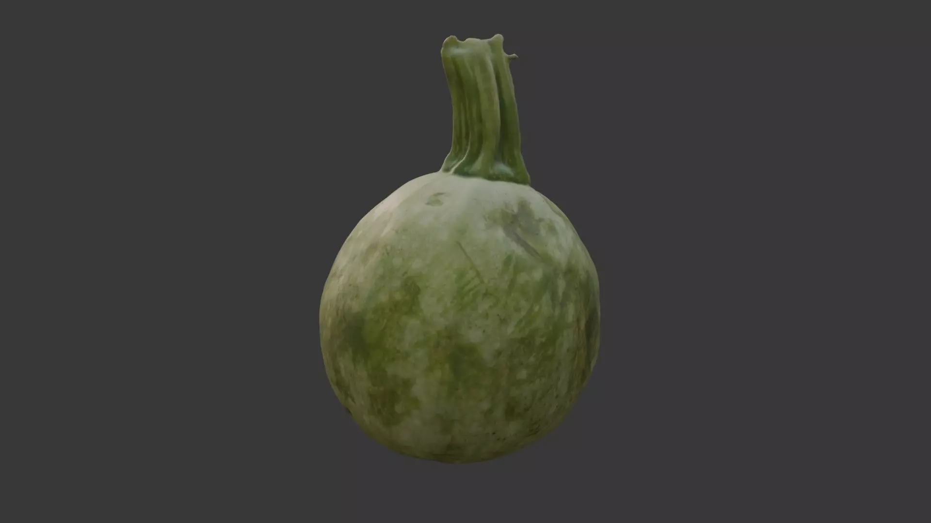 Round Squash Vegetable Scan Low-poly 3D model_4