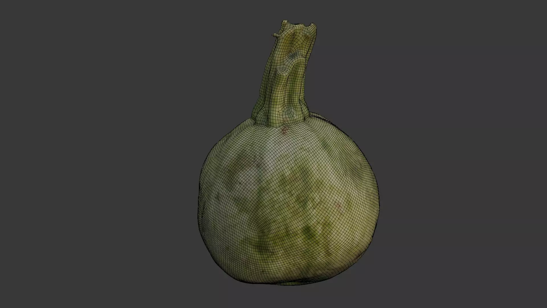 Round Squash Vegetable Scan Low-poly 3D model_2