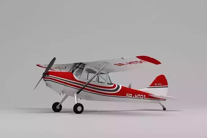 Cessna  Bird Dog 3D model