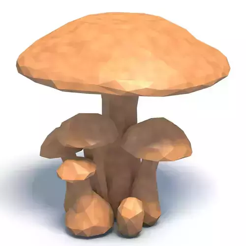 Mushrooms Low Poly