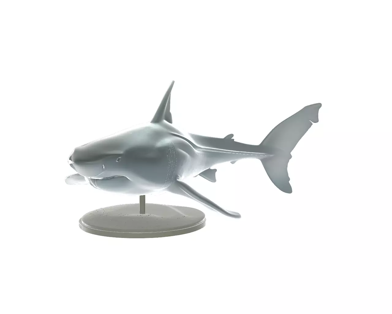 Realistic Shark Model Ocean Animal Figurine 3D print model