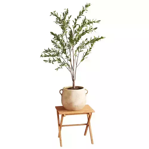 Faux Olive in Wabi Sabi Pot