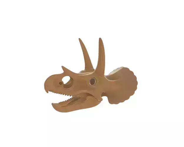 Realistic Triceratops Dinosaur Skull 3D print model