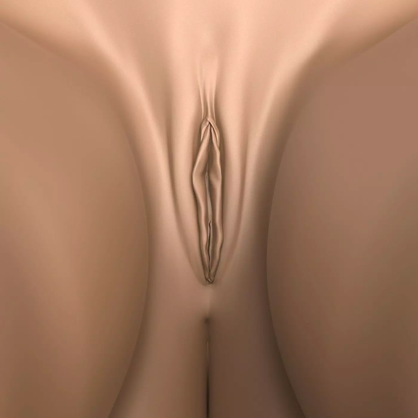 3D Print Ready Pregnant Woman Torso with Vagina 3D print model_2