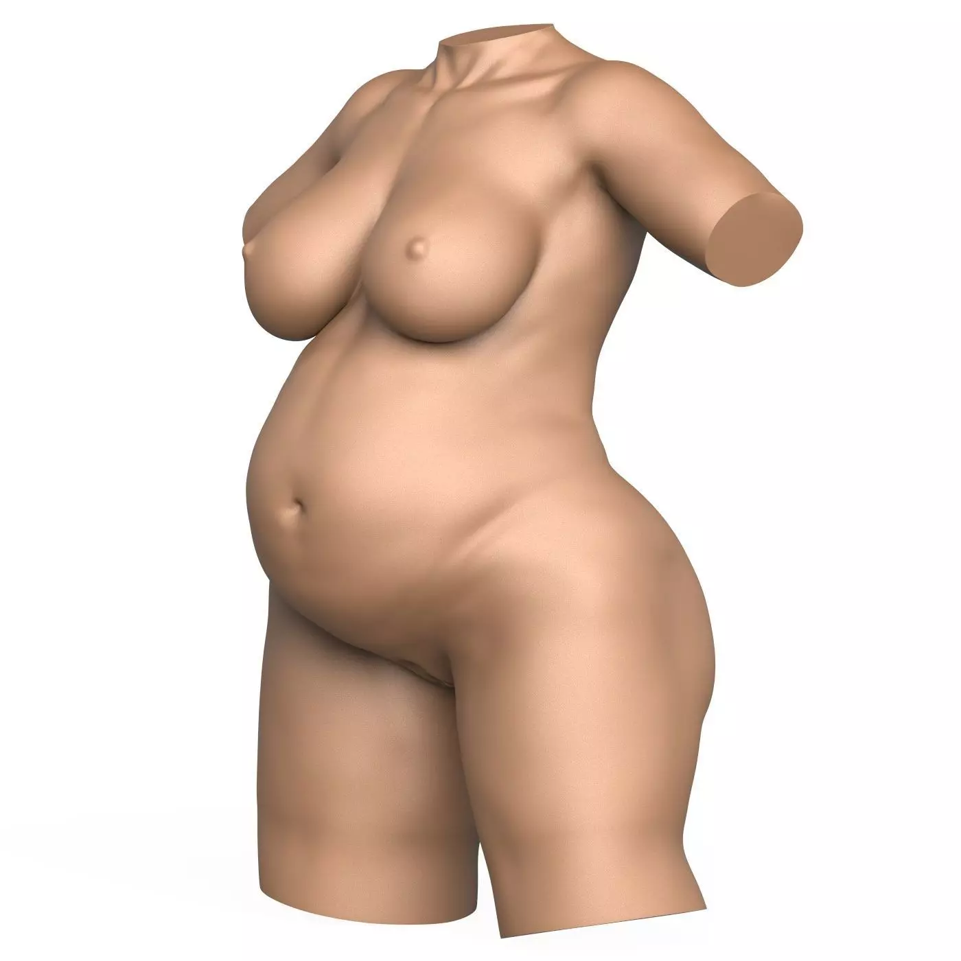 3D Print Ready Pregnant Woman Torso with Vagina 3D print model_5