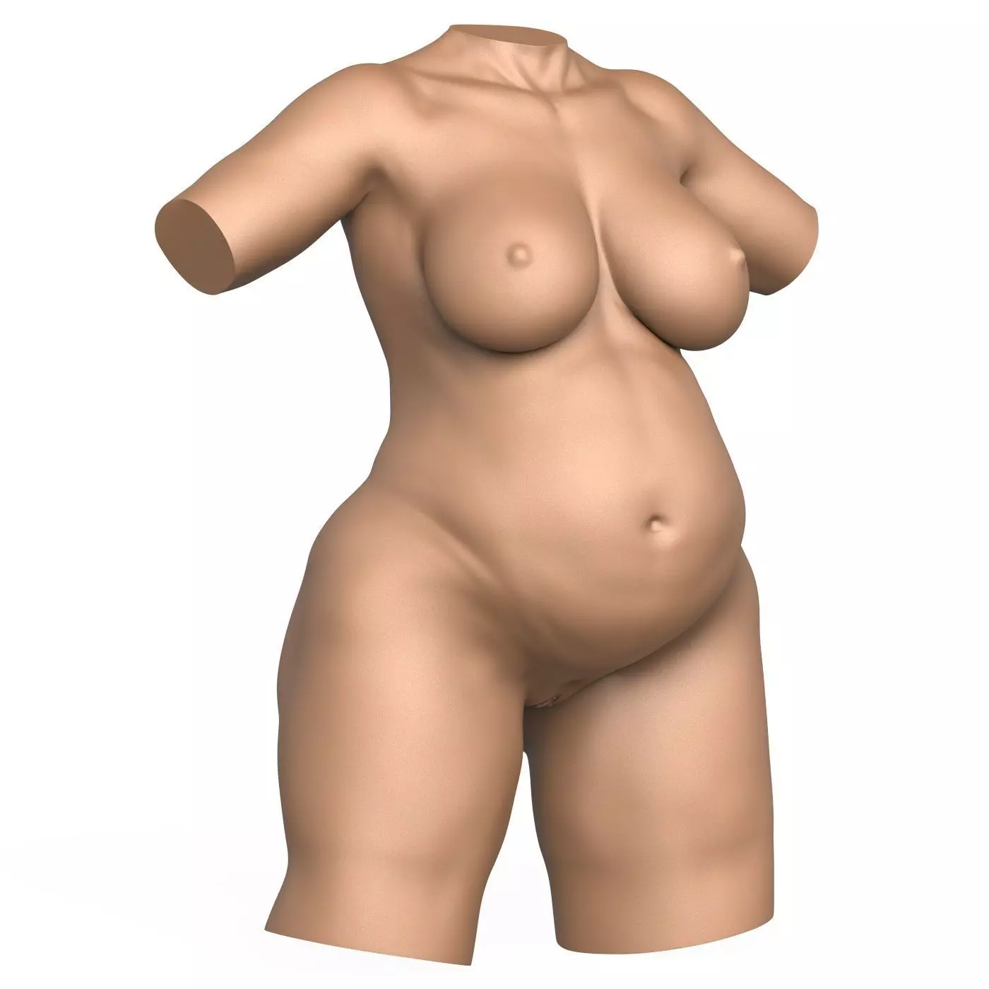 3D Print Ready Pregnant Woman Torso with Vagina 3D print model_9