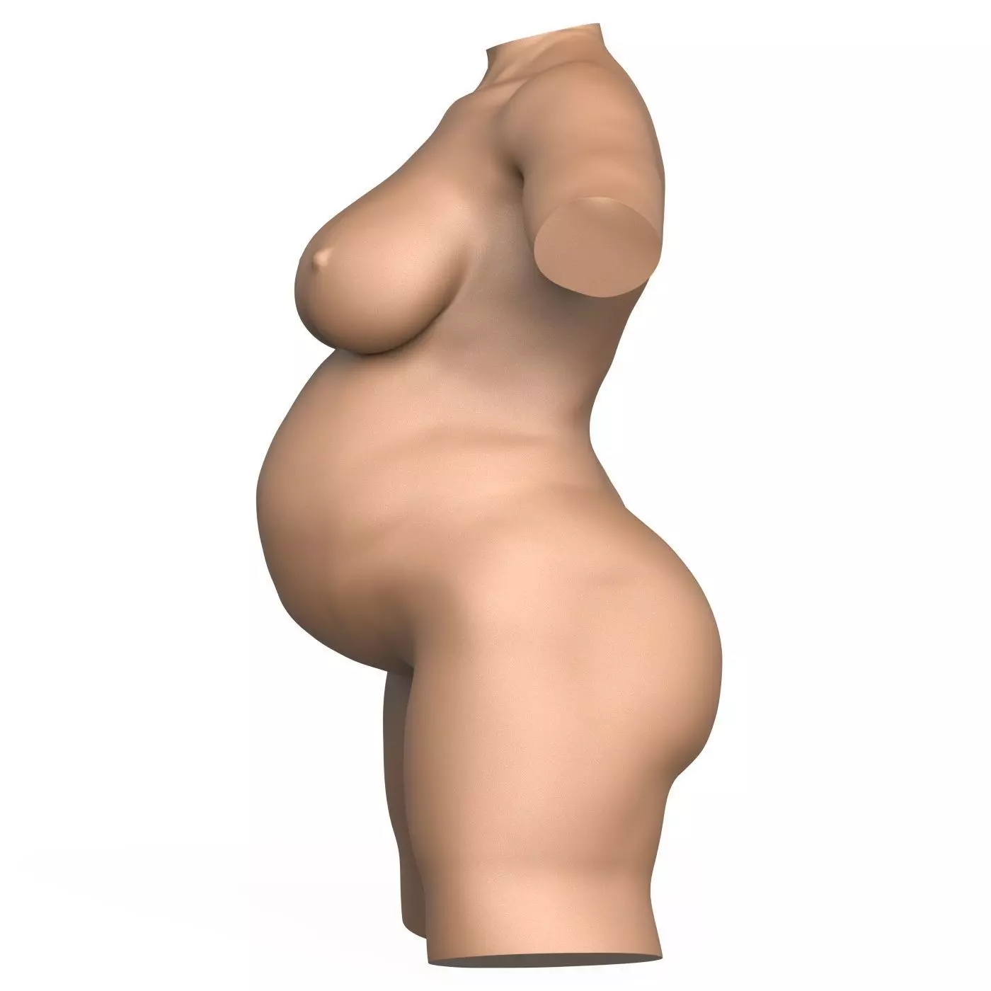 3D Print Ready Pregnant Woman Torso with Vagina 3D print model_10
