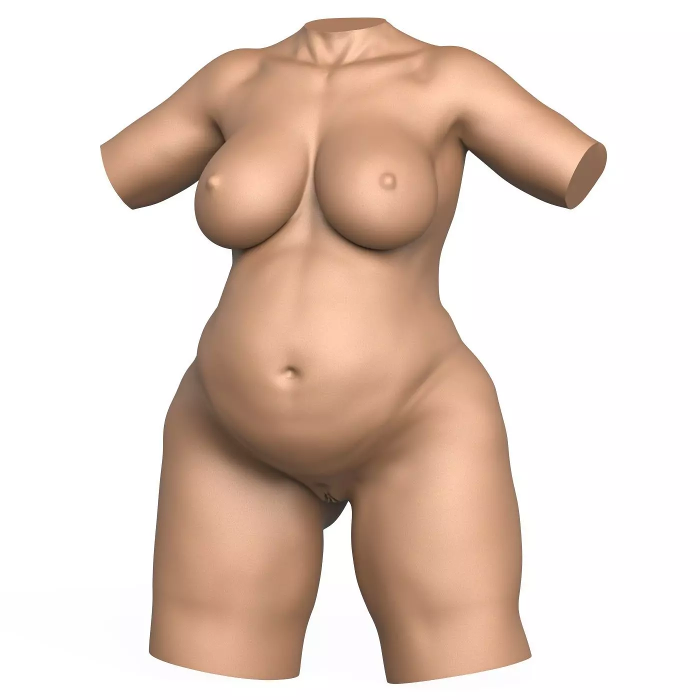 3D Print Ready Pregnant Woman Torso with Vagina 3D print model_1