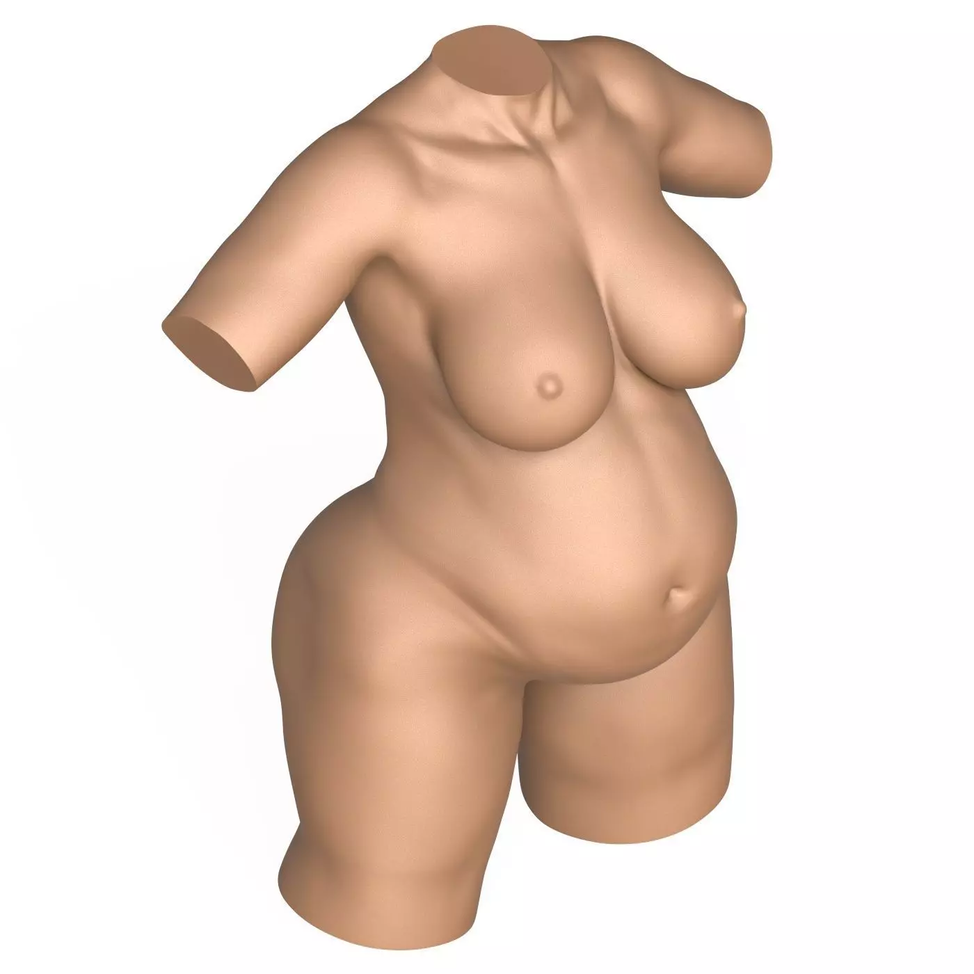 3D Print Ready Pregnant Woman Torso with Vagina 3D print model_7