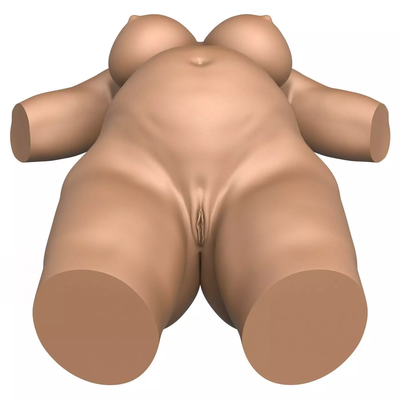 3D Print Ready Pregnant Woman Torso with Vagina 3D print model_8