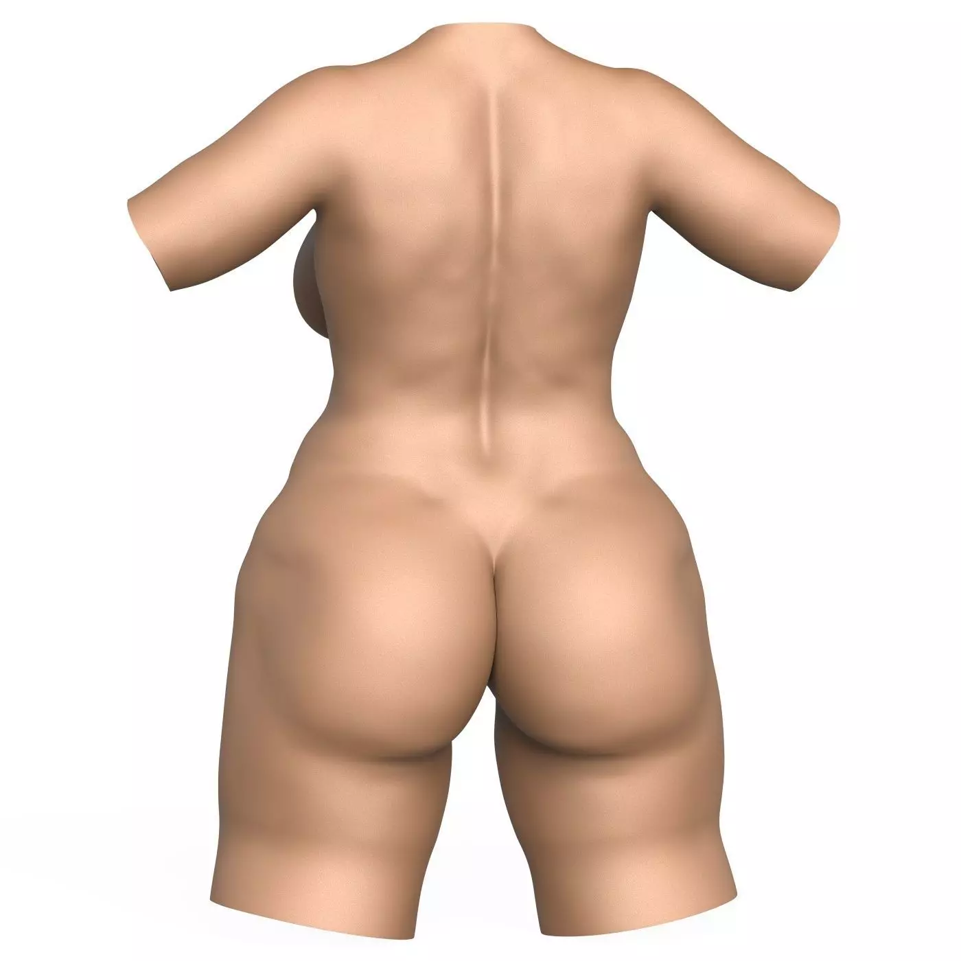 3D Print Ready Pregnant Woman Torso with Vagina 3D print model_6