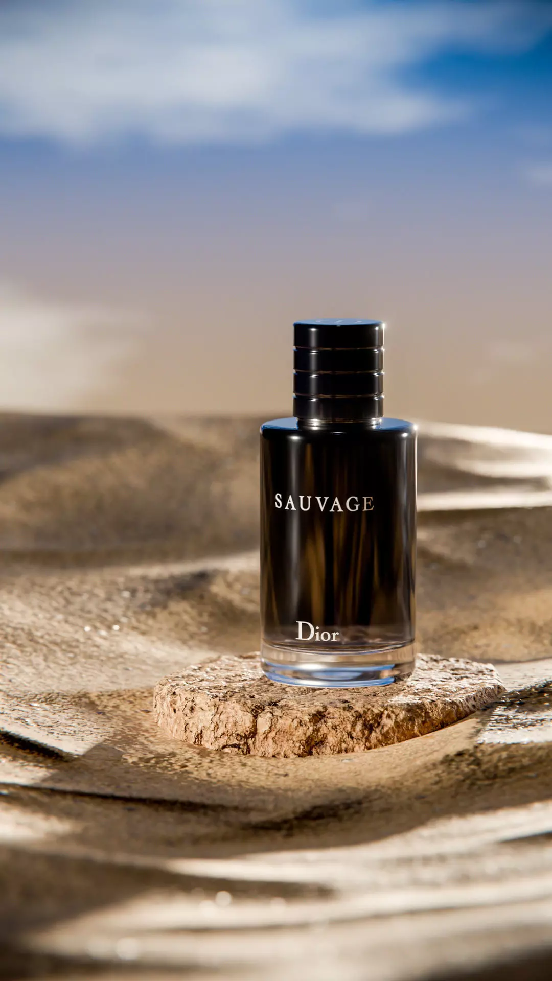 Midnight Perfume Desert Scene Low-poly 3D model_27