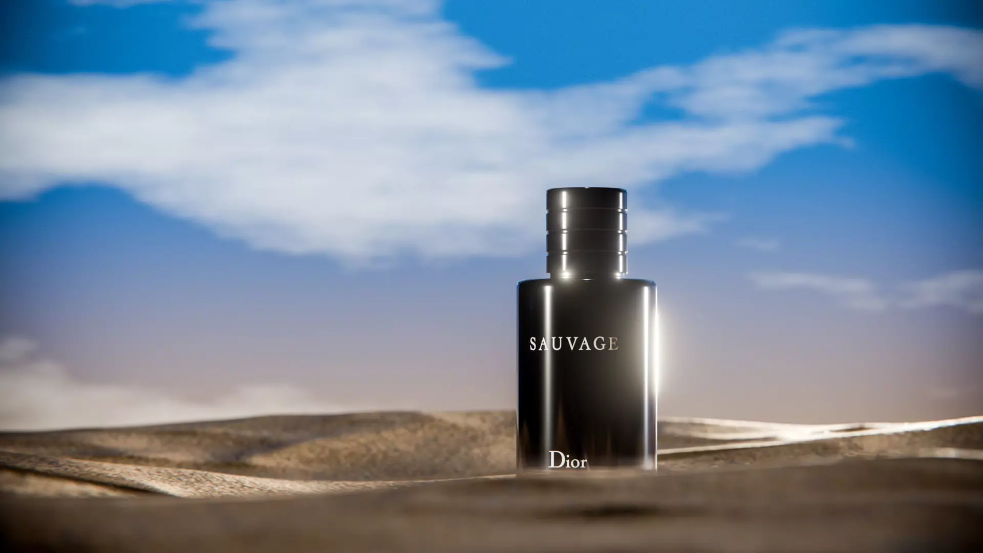 Midnight Perfume Desert Scene Low-poly 3D model_6