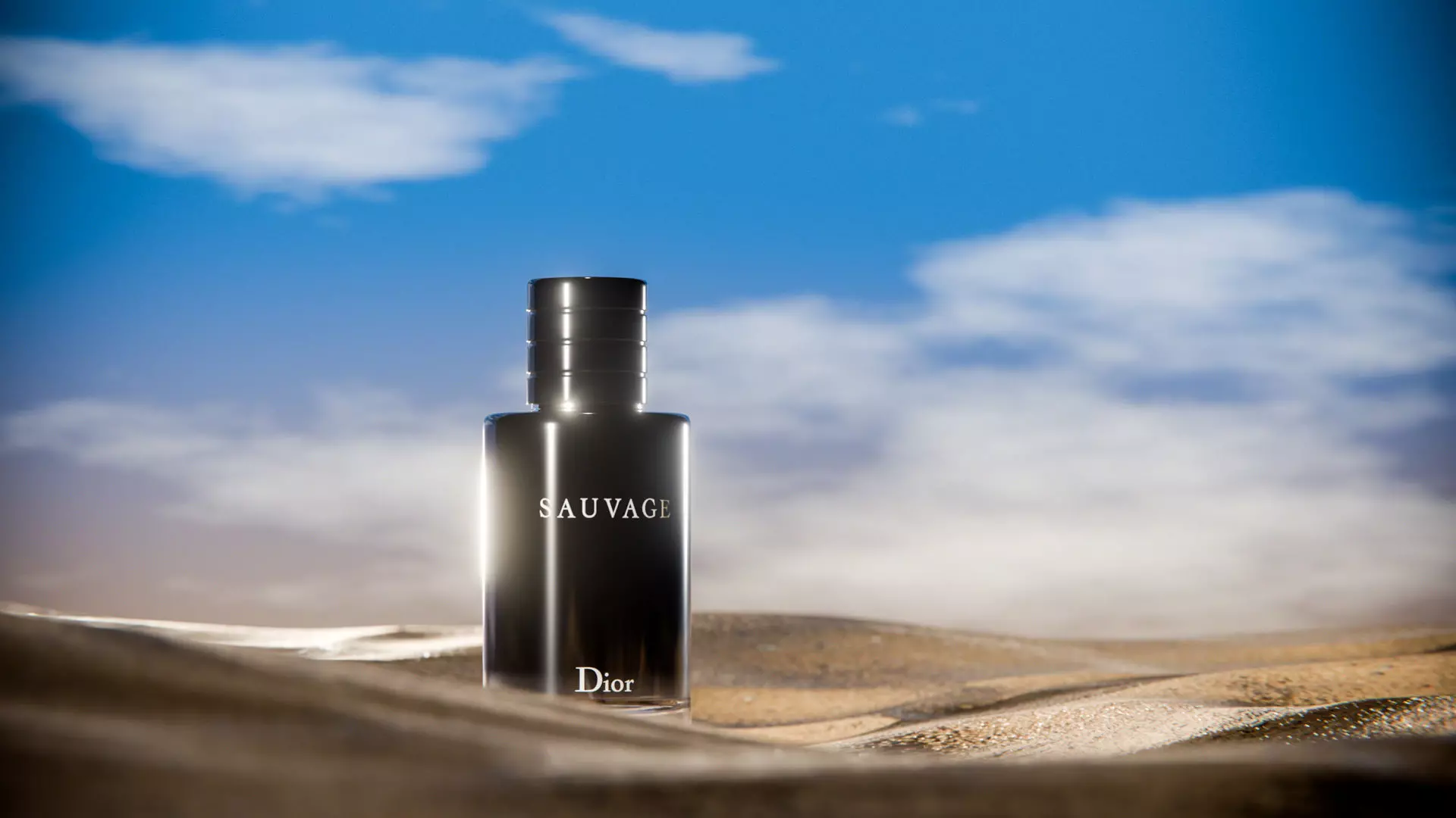 Midnight Perfume Desert Scene Low-poly 3D model_5