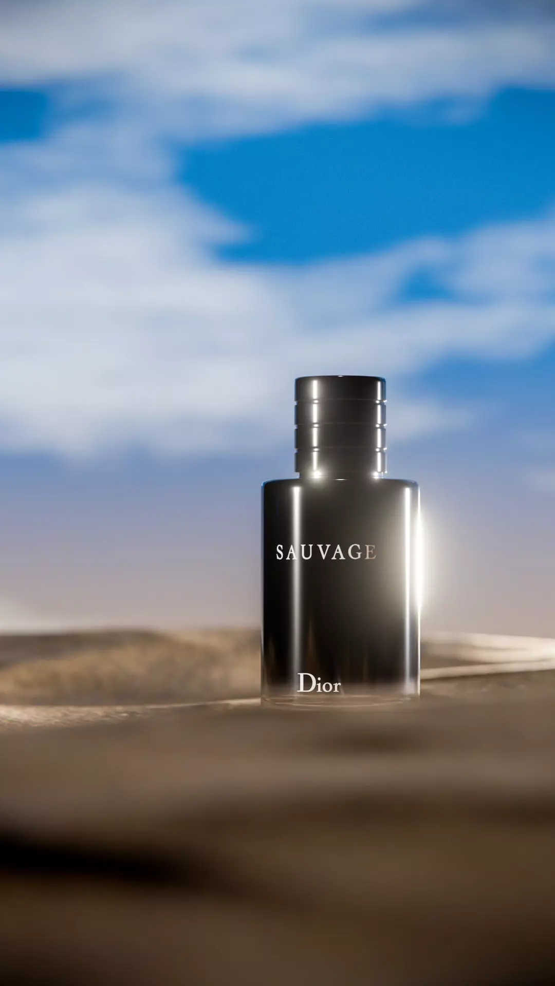 Midnight Perfume Desert Scene Low-poly 3D model_24